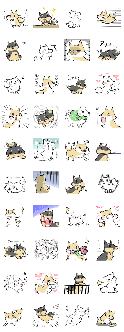 3 kinds of Shiba dog