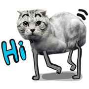 Zombie Cat Yeel