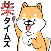 The Shiba Times