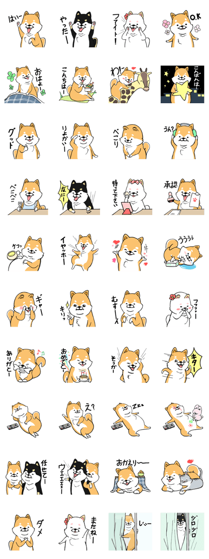 The Shiba Times