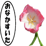 active flower -2