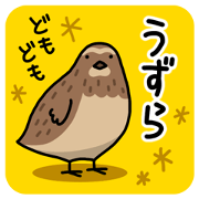 Japanese quail
