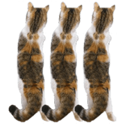 Cat Master Sticker
