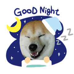 あまのじゃくなしば犬 Lineクリエイターズスタンプ Stamplist