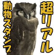 Extremely easy-to-use animals