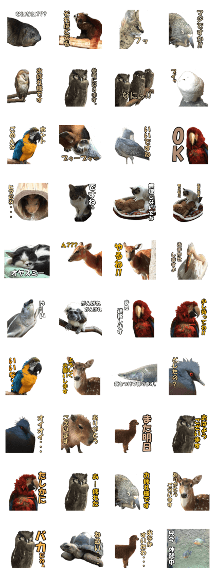 Extremely easy-to-use animals