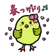 bush warbler