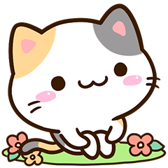 Small Cute Calico cat