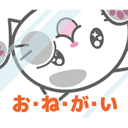 A trapped white cat