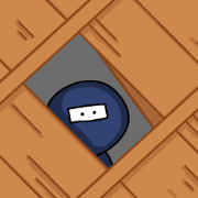 It's a Ninja.2