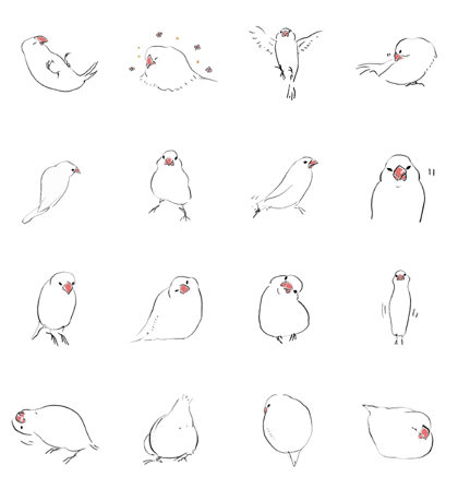 Elegant Rice bird
