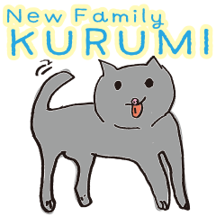 New Family Kurumi