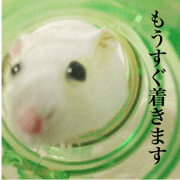 Hamster stickers part2