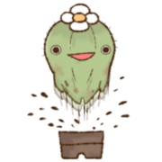 Togemaru of a Cactus