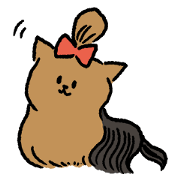 Yorkshire Terrier<Dog breed>