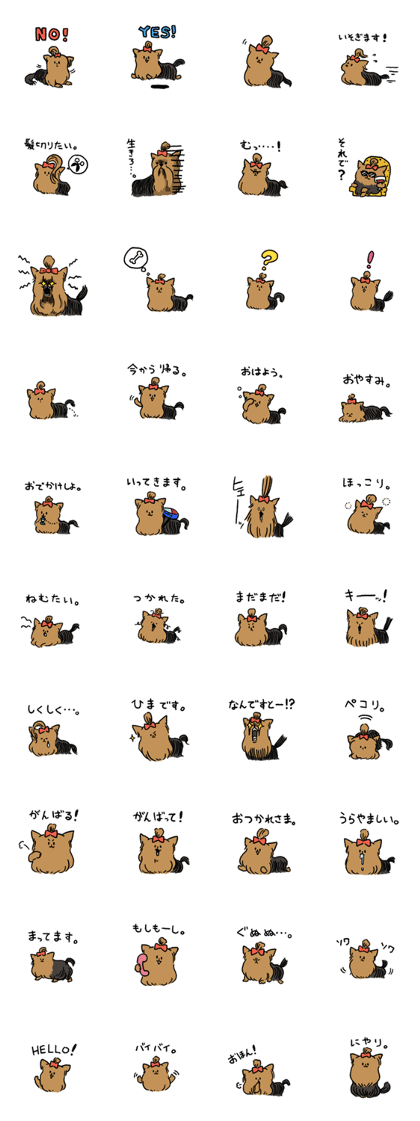 Yorkshire Terrier<Dog breed>
