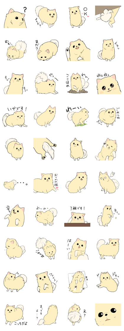 Pomeranian<Dog breed>