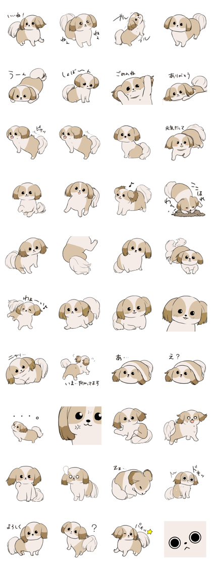 Shih Tzu<Dog breed>