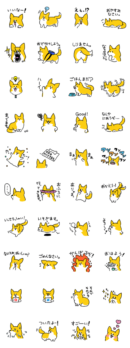 Pembroke Welsh Corgi<Dog breed>