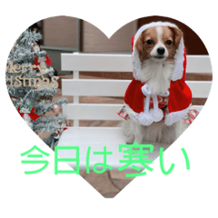 yukari_20201205124402