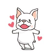 French Bulldog<Dog breed>