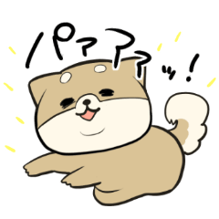 Japanese Shiba Inu<Dog breed>