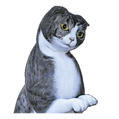 移動 蘇格蘭折 3