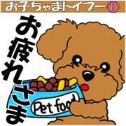 Move! Zoom in Children Toy Poodle 11