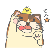 mikemaaru