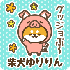 Petit Shiba Yuririn (Joke Animal)