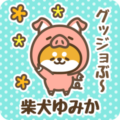 Petit Shiba Yumika (Joke Animal)