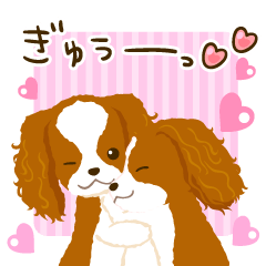 Cavalier King Charles Spaniel<Dog breed>