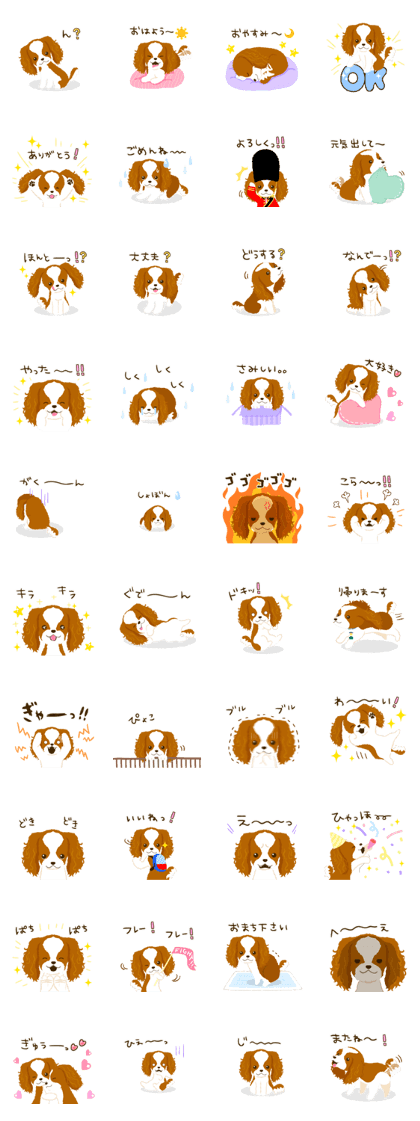 Cavalier King Charles Spaniel<Dog breed>