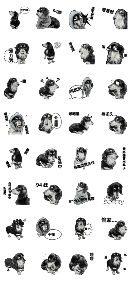Black-haired Dachshund