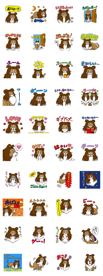 Shetland Sheepdog<Dog breed>