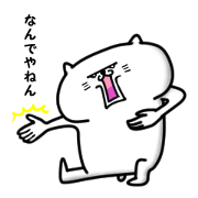 It is a cute and funny cat 2