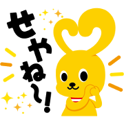 coopy
