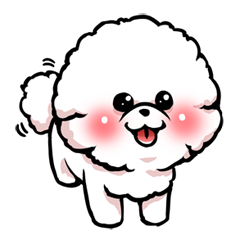 Bichon Frise<Dog breed>