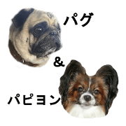 Dog Sticker Collection