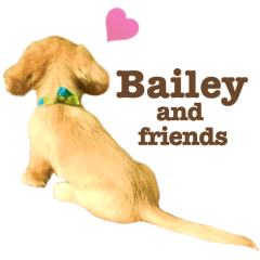 Bailey and friends 4