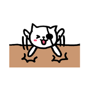 Eyepatch cat 001