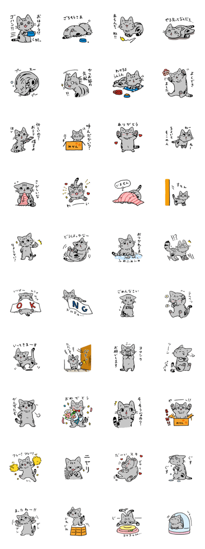 American Shorthair<Cat sticker>