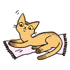 Abyssinian<Cat sticker>
