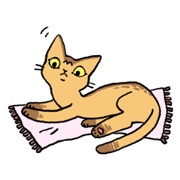 Abyssinian<Cat sticker>