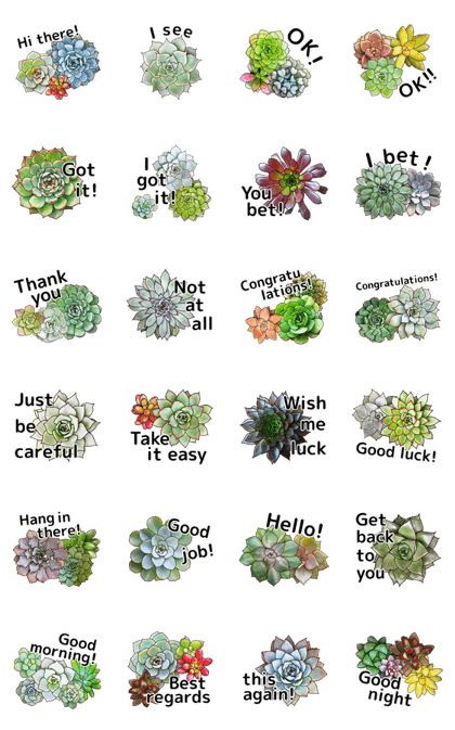 Greeting with Succulent Plants(Eng)