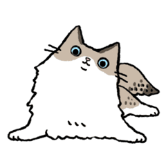 ラグドール ねこのきもち Line スタンプ Line Store ラグドール ねこのきもち Line スタンプ Line Store
