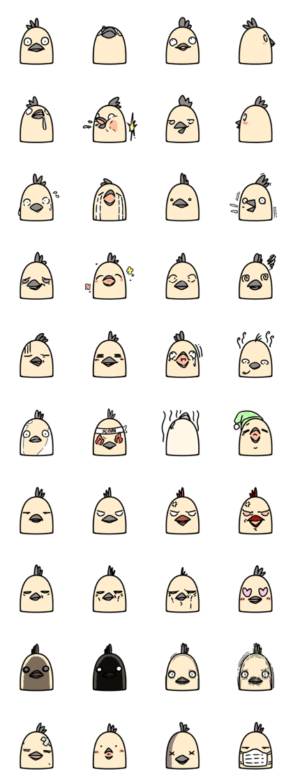Bird's facial performance-TORI NO KAOGEI