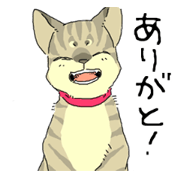 Various cats<Cat sticker>