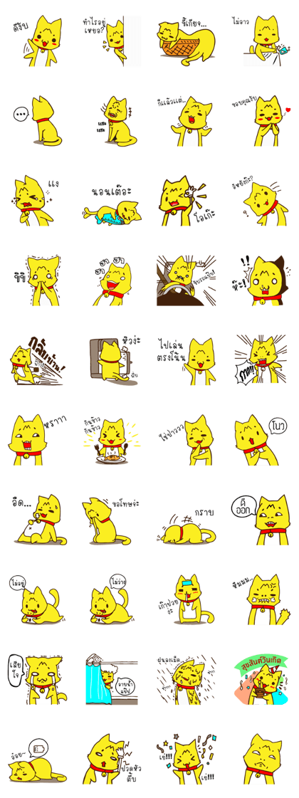 Tommy Mecute Daily 1
