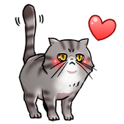 Exotic short hair<Cat sticker>